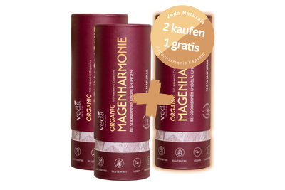 2 DOSEN + 1 GRATIS