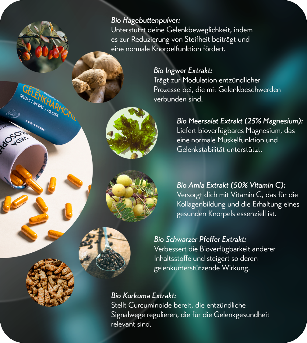 BIO GELENKHARMONIE