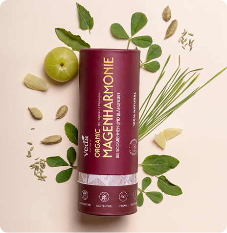 BIO MAGENHARMONIE